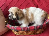 processed/4699521c-22d2-4a74-bf1a-62848d91c4e2/listing/bc93de70-d172-4b6a-acac-a0f3a243633f/9b7384db-c576-4287-9df9-ee6016bc626a