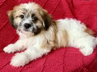 processed/4699521c-22d2-4a74-bf1a-62848d91c4e2/listing/bc93de70-d172-4b6a-acac-a0f3a243633f/ae08bc7e-3e12-47d5-b74b-6113c3cac36b