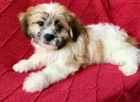 processed/4699521c-22d2-4a74-bf1a-62848d91c4e2/listing/bc93de70-d172-4b6a-acac-a0f3a243633f/c39c1e42-cd1a-4e9a-a1ed-14755ec6be67