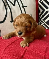 processed/4699521c-22d2-4a74-bf1a-62848d91c4e2/listing/bd31d8e7-ac6b-4de9-8510-0a4b207e994d/11395d16-b4ad-440d-859b-cc267c674b00