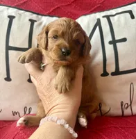 processed/4699521c-22d2-4a74-bf1a-62848d91c4e2/listing/bd31d8e7-ac6b-4de9-8510-0a4b207e994d/1bdca2aa-3dff-410f-bfa2-1295dc0beca8