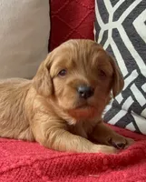 processed/4699521c-22d2-4a74-bf1a-62848d91c4e2/listing/bd31d8e7-ac6b-4de9-8510-0a4b207e994d/798caa4e-74b7-4700-ba38-2720b5fff328