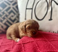 processed/4699521c-22d2-4a74-bf1a-62848d91c4e2/listing/bd31d8e7-ac6b-4de9-8510-0a4b207e994d/7ee39633-7496-4fd2-b831-57791935a573