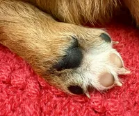 processed/4699521c-22d2-4a74-bf1a-62848d91c4e2/listing/bd31d8e7-ac6b-4de9-8510-0a4b207e994d/a9230eb7-b091-4556-a4fd-297c1dde5068