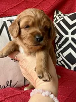 processed/4699521c-22d2-4a74-bf1a-62848d91c4e2/listing/bd31d8e7-ac6b-4de9-8510-0a4b207e994d/c6b999a1-958c-4a20-8716-b9583c8d25f8