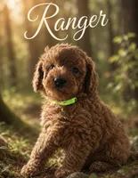 Ranger , a male Miniature Goldendoodle for sale in Spring Hill, FL – 1 of 5