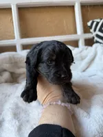 processed/4699521c-22d2-4a74-bf1a-62848d91c4e2/listing/bfcec1a7-9633-44be-bf8b-8faeb713b887/257a6b91-8ee4-4e32-b6b2-6bd060bdc01d