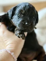 processed/4699521c-22d2-4a74-bf1a-62848d91c4e2/listing/bfcec1a7-9633-44be-bf8b-8faeb713b887/5516e16f-d63a-4bf0-922f-c96e0f8e1aca