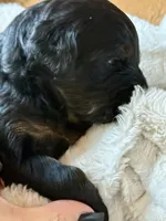 processed/4699521c-22d2-4a74-bf1a-62848d91c4e2/listing/bfcec1a7-9633-44be-bf8b-8faeb713b887/7438e8cd-88a1-479d-bbd6-8d6210726ea6