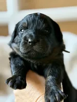 processed/4699521c-22d2-4a74-bf1a-62848d91c4e2/listing/bfcec1a7-9633-44be-bf8b-8faeb713b887/882dbcf2-9276-4ba6-9d23-2251b6166349