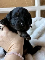 processed/4699521c-22d2-4a74-bf1a-62848d91c4e2/listing/bfcec1a7-9633-44be-bf8b-8faeb713b887/c0521439-ee3f-41cd-a2e1-33f7ed760c24