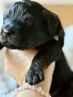 processed/4699521c-22d2-4a74-bf1a-62848d91c4e2/listing/bfcec1a7-9633-44be-bf8b-8faeb713b887/cf3b96d4-3621-41dd-b57c-1c1a3c7eda52