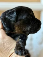 processed/4699521c-22d2-4a74-bf1a-62848d91c4e2/listing/bfcec1a7-9633-44be-bf8b-8faeb713b887/d713b5e2-9fc2-48cd-9d6f-2455a809e419