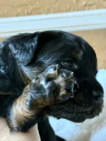 processed/4699521c-22d2-4a74-bf1a-62848d91c4e2/listing/bfcec1a7-9633-44be-bf8b-8faeb713b887/e6d910f1-3adf-445e-b072-5afafb413e6e