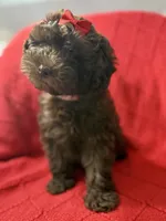 processed/4699521c-22d2-4a74-bf1a-62848d91c4e2/listing/d78484bc-4725-4ddf-8932-bec6c2686f74/10d3a983-6fa7-4b18-851e-1b6a5b54e248