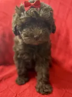 processed/4699521c-22d2-4a74-bf1a-62848d91c4e2/listing/d78484bc-4725-4ddf-8932-bec6c2686f74/12d59829-e00e-4835-822a-e4a36190288e