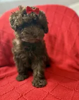 processed/4699521c-22d2-4a74-bf1a-62848d91c4e2/listing/d78484bc-4725-4ddf-8932-bec6c2686f74/2190ca3f-56ba-4e2b-8c1e-2acfb700d240