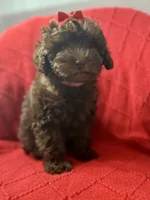 processed/4699521c-22d2-4a74-bf1a-62848d91c4e2/listing/d78484bc-4725-4ddf-8932-bec6c2686f74/26be0aa2-1a8d-4f94-ae56-671c7ea6186d