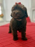 processed/4699521c-22d2-4a74-bf1a-62848d91c4e2/listing/d78484bc-4725-4ddf-8932-bec6c2686f74/3ed74792-1c38-49e0-b722-13f5812d9351