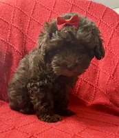 processed/4699521c-22d2-4a74-bf1a-62848d91c4e2/listing/d78484bc-4725-4ddf-8932-bec6c2686f74/4def82f9-37ed-4705-bde4-a05a8f84bb10