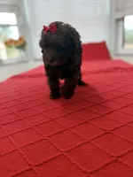 processed/4699521c-22d2-4a74-bf1a-62848d91c4e2/listing/d78484bc-4725-4ddf-8932-bec6c2686f74/4f64bccc-ebb1-46f9-aacd-5362d0db99c7