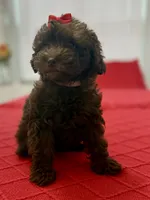 processed/4699521c-22d2-4a74-bf1a-62848d91c4e2/listing/d78484bc-4725-4ddf-8932-bec6c2686f74/923df639-49fa-47bf-bedd-b904c88422d9