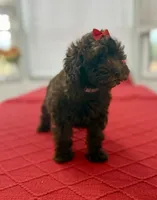 processed/4699521c-22d2-4a74-bf1a-62848d91c4e2/listing/d78484bc-4725-4ddf-8932-bec6c2686f74/c5f5ee33-350b-45e9-9449-fd155a21f786