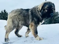 processed/46aa3d7a-4719-4a1e-8504-277ab7e1b7e6/listing/3743d10b-3bf8-492b-8f82-cf315989d837/022c91b1-dcc3-45f2-87d6-9a9471b72876