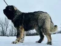 processed/46aa3d7a-4719-4a1e-8504-277ab7e1b7e6/listing/3743d10b-3bf8-492b-8f82-cf315989d837/1d4df22d-cccb-46e6-9f62-250fa6af9066