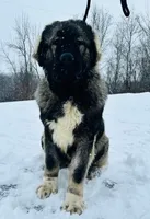 processed/46aa3d7a-4719-4a1e-8504-277ab7e1b7e6/listing/3743d10b-3bf8-492b-8f82-cf315989d837/7563793f-61f6-4f06-ad9e-251a92929156