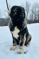 processed/46aa3d7a-4719-4a1e-8504-277ab7e1b7e6/listing/3743d10b-3bf8-492b-8f82-cf315989d837/9e34b518-32f8-4106-95f2-e2ecfa57ace7