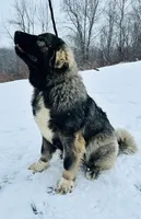 processed/46aa3d7a-4719-4a1e-8504-277ab7e1b7e6/listing/3743d10b-3bf8-492b-8f82-cf315989d837/d29792d2-c2b2-42ad-a82e-06e600029b49