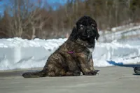 processed/46aa3d7a-4719-4a1e-8504-277ab7e1b7e6/listing/3e8ca27c-486f-474b-9535-61a045ec3052/2fc8feac-4264-4546-8098-2744acf80420