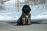 processed/46aa3d7a-4719-4a1e-8504-277ab7e1b7e6/listing/3e8ca27c-486f-474b-9535-61a045ec3052/3533750b-532e-4870-afa3-91addf14b481