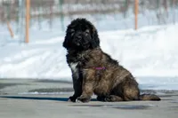 processed/46aa3d7a-4719-4a1e-8504-277ab7e1b7e6/listing/3e8ca27c-486f-474b-9535-61a045ec3052/71a96e2b-3d40-4f37-8835-e1cac72b6ee4