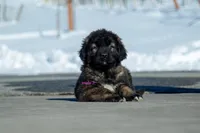 processed/46aa3d7a-4719-4a1e-8504-277ab7e1b7e6/listing/3e8ca27c-486f-474b-9535-61a045ec3052/b6b7e95a-e01b-4794-a9c4-8255f33d2c58