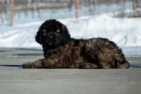 processed/46aa3d7a-4719-4a1e-8504-277ab7e1b7e6/listing/3e8ca27c-486f-474b-9535-61a045ec3052/fc088643-ce55-4ee8-949b-6dd2fd139b1e