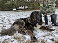 processed/46aa3d7a-4719-4a1e-8504-277ab7e1b7e6/listing/611c197e-8c25-4a89-8846-7d7596e57b2a/2916e442-b616-4645-a7df-ec32caa35da2