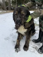 processed/46aa3d7a-4719-4a1e-8504-277ab7e1b7e6/listing/611c197e-8c25-4a89-8846-7d7596e57b2a/54939a34-a32f-492a-8464-66ab708b7766