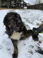 processed/46aa3d7a-4719-4a1e-8504-277ab7e1b7e6/listing/611c197e-8c25-4a89-8846-7d7596e57b2a/95200ba9-e1f4-433e-81ea-3b591e57f68b