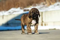 processed/46aa3d7a-4719-4a1e-8504-277ab7e1b7e6/listing/65f780aa-ee01-4499-82cb-80678bbb3181/ca4e9473-cefc-447b-9657-da9fe1ff4bbc