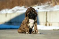 processed/46aa3d7a-4719-4a1e-8504-277ab7e1b7e6/listing/65f780aa-ee01-4499-82cb-80678bbb3181/fbaaf4a7-a754-4e15-a23e-05b107bc9c2b