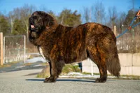 processed/46aa3d7a-4719-4a1e-8504-277ab7e1b7e6/listing/8cf91749-0823-4175-b718-9b7ffb5fb850/0d3977d7-4d92-4874-967e-117b4f62ec4f