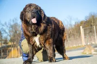 processed/46aa3d7a-4719-4a1e-8504-277ab7e1b7e6/listing/8cf91749-0823-4175-b718-9b7ffb5fb850/2416ae3f-3afb-44ee-ad72-81f54256c276