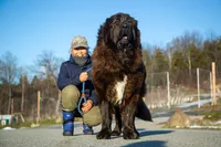 processed/46aa3d7a-4719-4a1e-8504-277ab7e1b7e6/listing/8cf91749-0823-4175-b718-9b7ffb5fb850/2907edc8-57c3-4e08-b9aa-5ea960fcf7ca