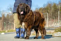 processed/46aa3d7a-4719-4a1e-8504-277ab7e1b7e6/listing/8cf91749-0823-4175-b718-9b7ffb5fb850/32fd1c1b-826b-45e3-b208-6c6e14f4fe48