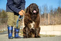 processed/46aa3d7a-4719-4a1e-8504-277ab7e1b7e6/listing/8cf91749-0823-4175-b718-9b7ffb5fb850/52b30214-a3c3-4bfc-a6b4-34910d082d98