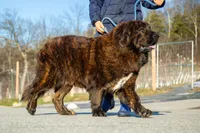 processed/46aa3d7a-4719-4a1e-8504-277ab7e1b7e6/listing/8cf91749-0823-4175-b718-9b7ffb5fb850/58dd6962-e316-4f59-a892-76620df66ce5