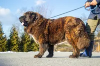 processed/46aa3d7a-4719-4a1e-8504-277ab7e1b7e6/listing/8cf91749-0823-4175-b718-9b7ffb5fb850/81208935-be1c-4184-ae1f-2e80e872a13b