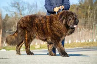 processed/46aa3d7a-4719-4a1e-8504-277ab7e1b7e6/listing/8cf91749-0823-4175-b718-9b7ffb5fb850/86f9e434-be74-404f-bc46-bdcbfcd6788a